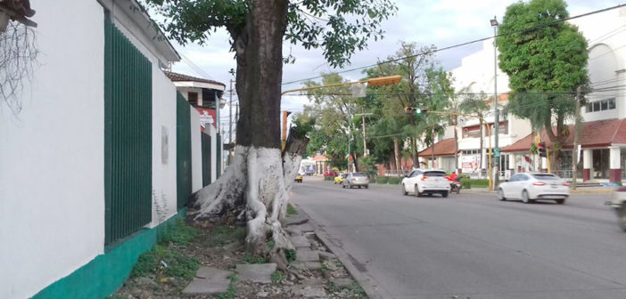 Autoridades continúan ignorando el problema de la banqueta de Conalep