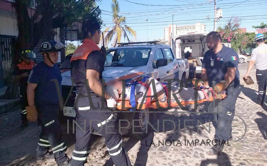 Se abre la cabeza al caer de 6 metros de altura, podaba un árbol 1 Se abre la cabeza al caer de 6 metros de altura, podaba un árbol