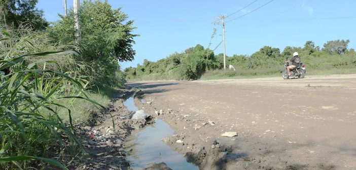 Paseo las Flores, una calle en abandono e "intransitable"