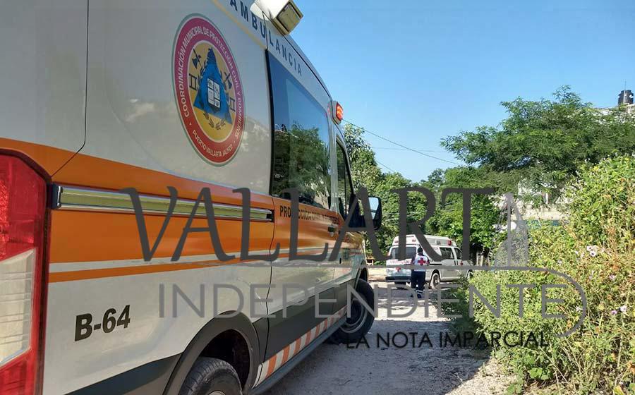 Se le termina el camino y cae sobre una casa en ‘Cartolandia’