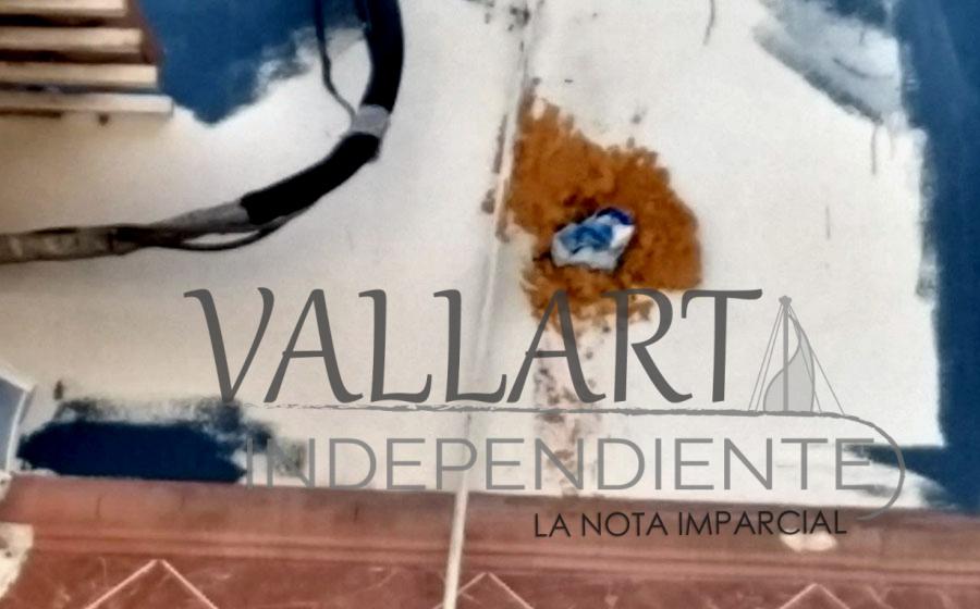 A chorros, bomberos rescatan a hombre que era atacado por un enjambre 3 A chorros, bomberos rescatan a hombre que era atacado por un enjambre