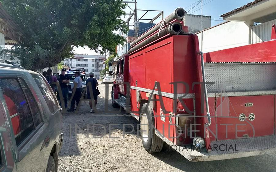 A chorros, bomberos rescatan a hombre que era atacado por un enjambre 4 A chorros, bomberos rescatan a hombre que era atacado por un enjambre