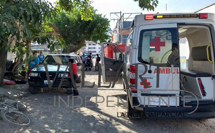 A chorros, bomberos rescatan a hombre que era atacado por un enjambre 6 A chorros, bomberos rescatan a hombre que era atacado por un enjambre