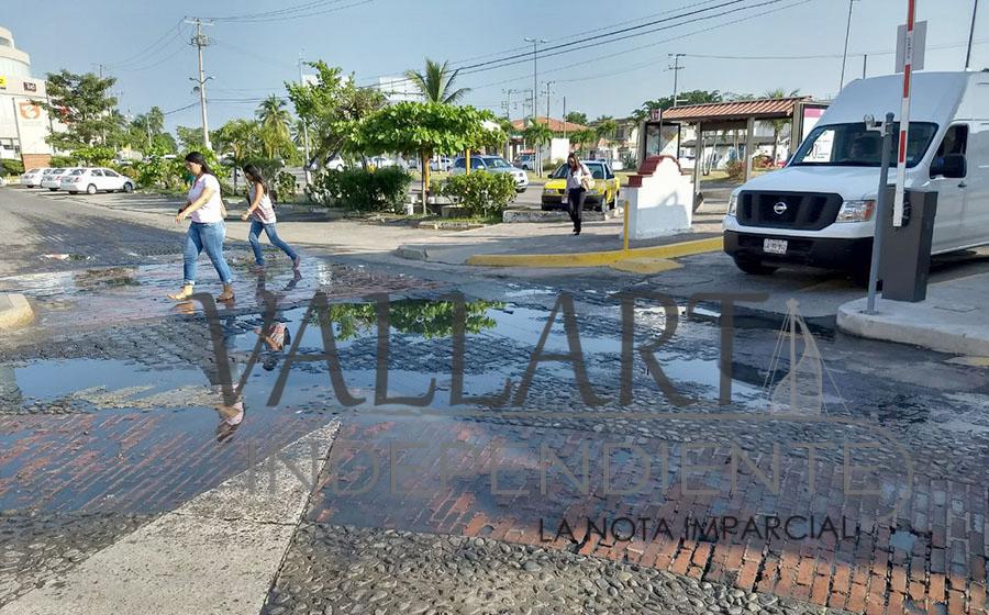 Pollería ocasiona foco de infección en Plaza Marina