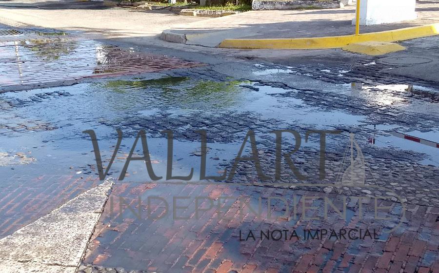 Pollería ocasiona foco de infección en Plaza Marina 3 Pollería ocasiona foco de infección en Plaza Marina