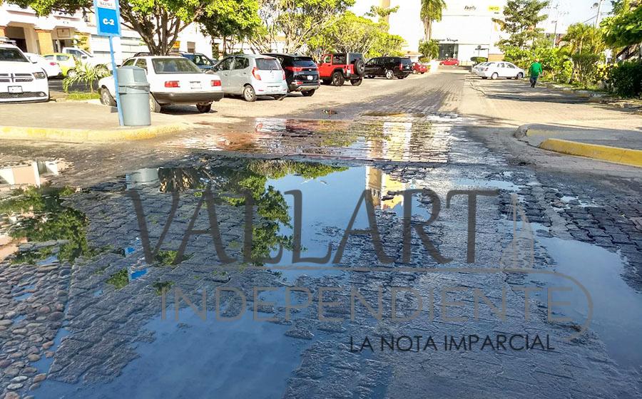 Pollería ocasiona foco de infección en Plaza Marina 4 Pollería ocasiona foco de infección en Plaza Marina