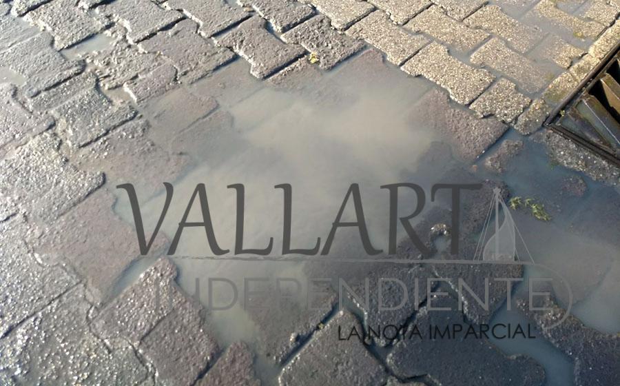 Pollería ocasiona foco de infección en Plaza Marina 5 Pollería ocasiona foco de infección en Plaza Marina