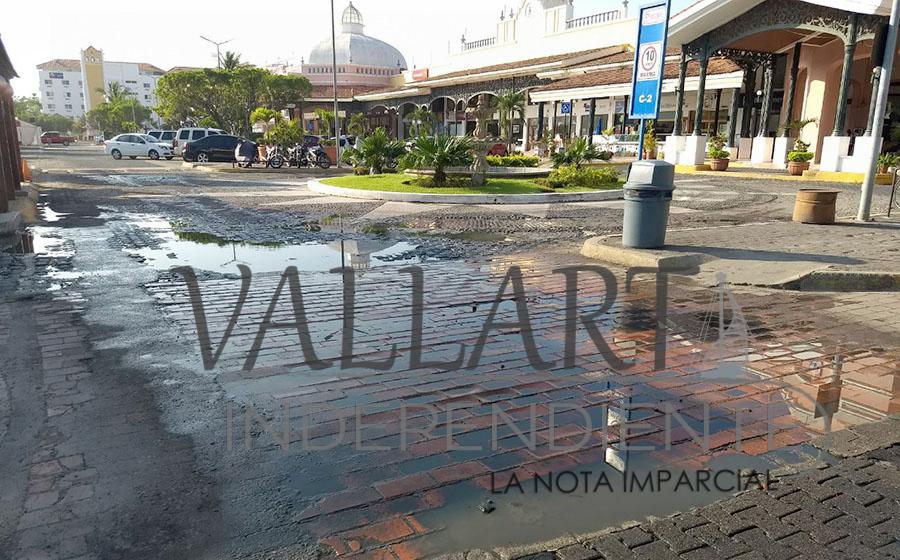 Pollería ocasiona foco de infección en Plaza Marina 6 Pollería ocasiona foco de infección en Plaza Marina