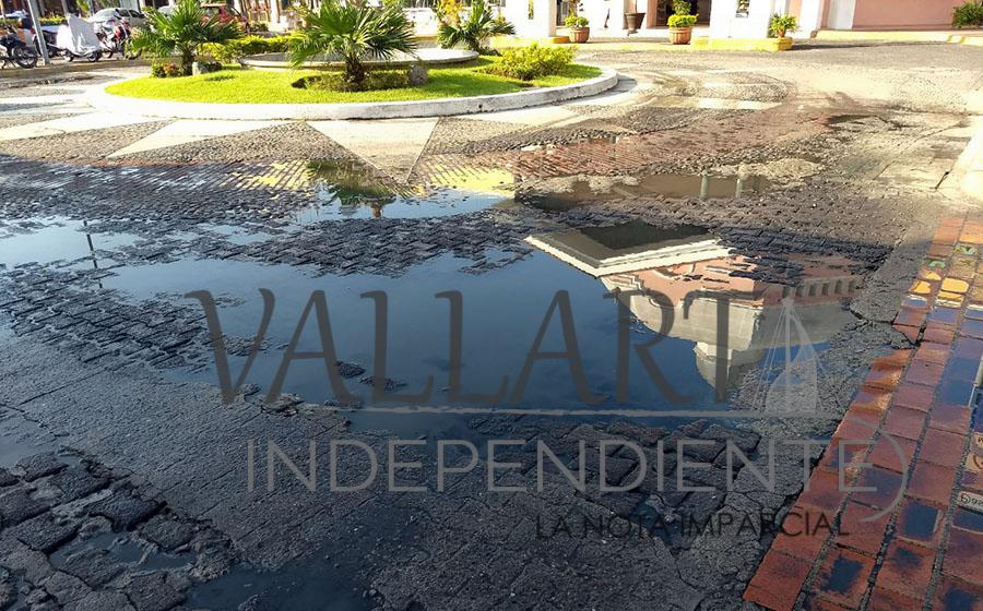 Pollería ocasiona foco de infección en Plaza Marina 1 Pollería ocasiona foco de infección en Plaza Marina