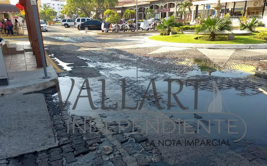 Pollería ocasiona foco de infección en Plaza Marina 7 Pollería ocasiona foco de infección en Plaza Marina