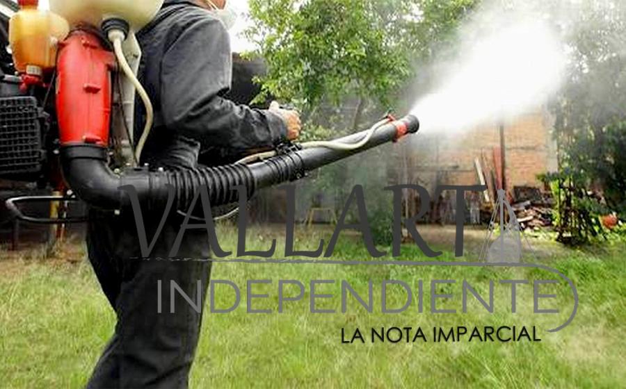 Puerto Vallarta concentra el 20% estatal de casos de dengue