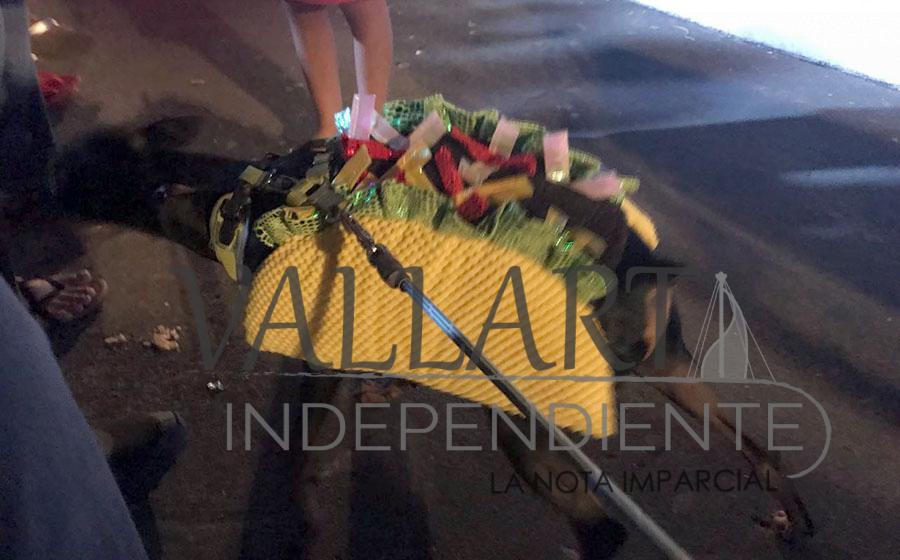 Festejos por día de muertos conviven con Halloween en Puerto Vallarta