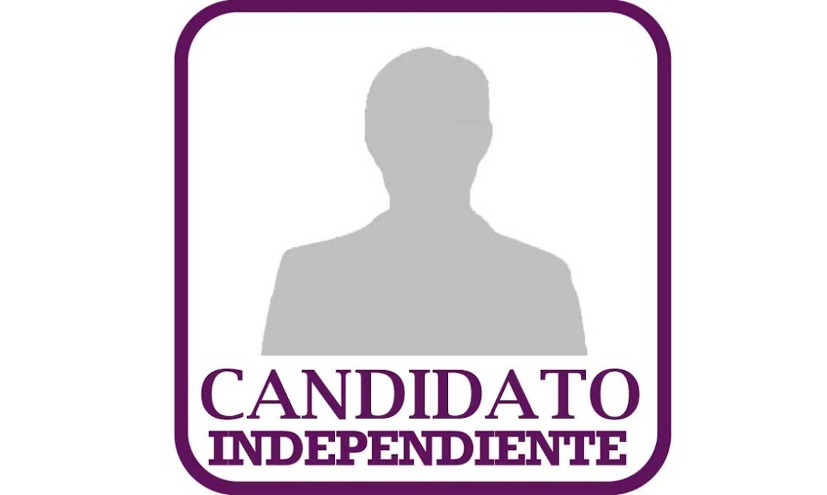 En total 119 personas acreditan la calidad de aspirantes a candidaturas independientes