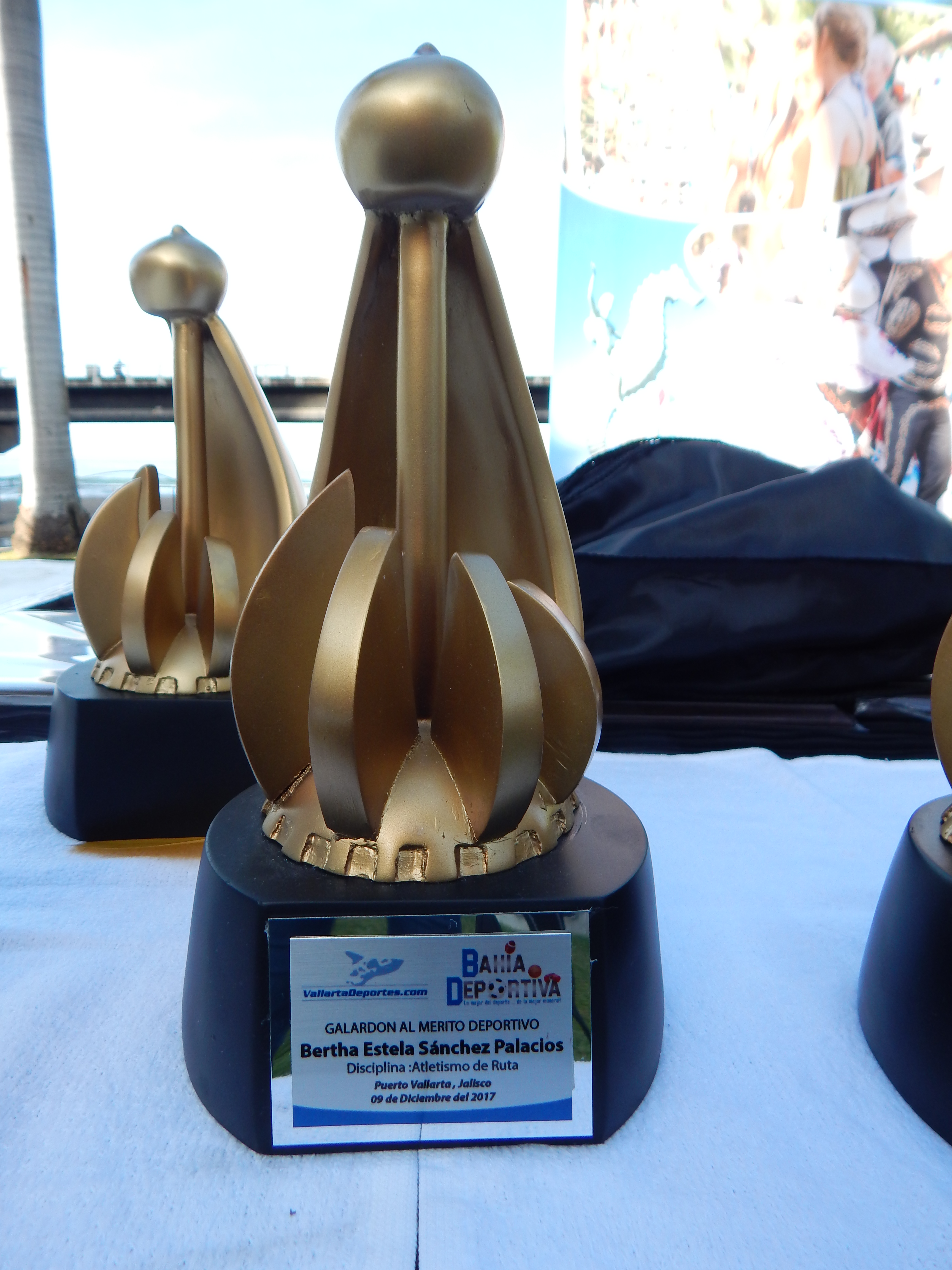 Entregan galardón al mérito deportivo en Puerto Vallarta