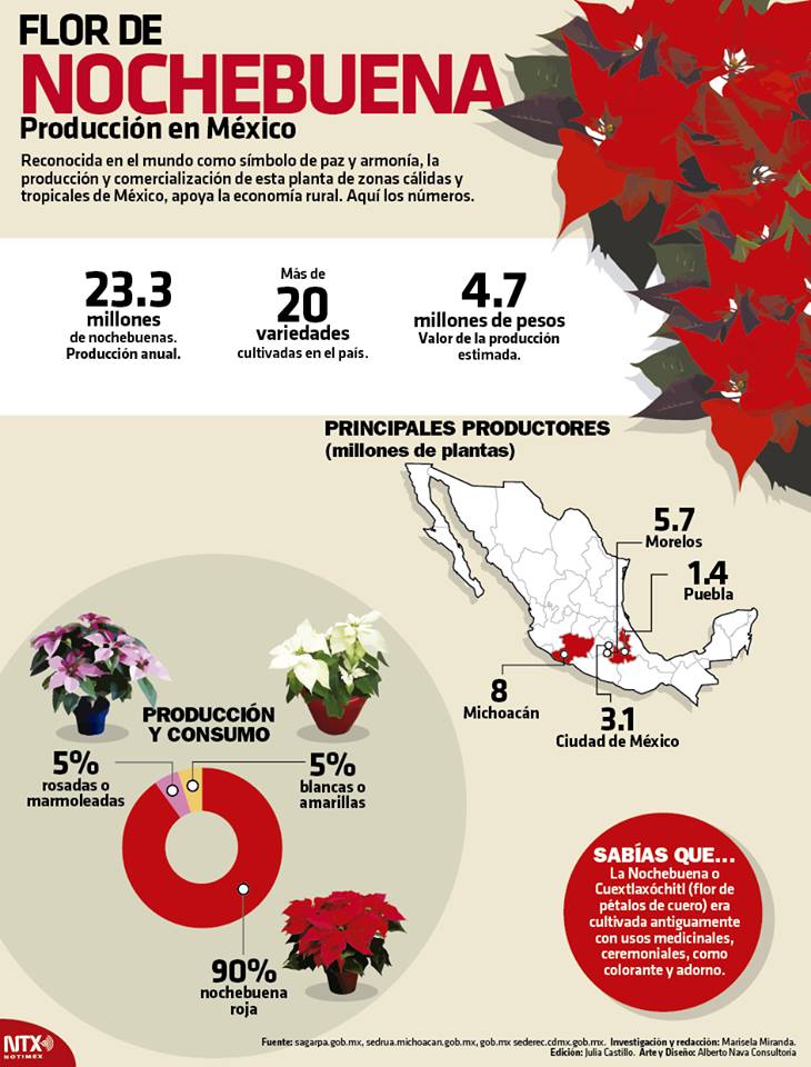 Hoy es el día nacional de la Nochebuena