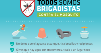 No hay que bajar la guardia ante enfermedades transmitidas por vector: JAZ