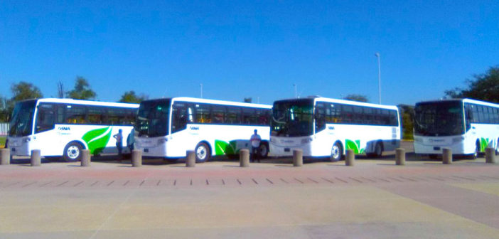 Incumple empresa 'Unibuspv'; de los 60 camiones, ‘ni sus luces’