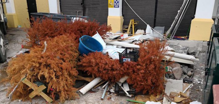 Ignora ciudadanía centros de acopio de pinos navideños