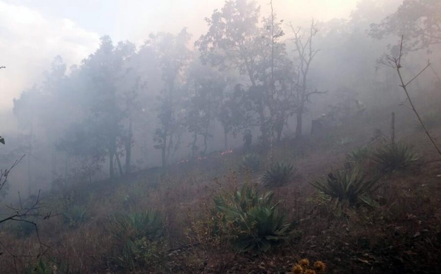 Camioneta ocasiona incendio forestal en Mascota