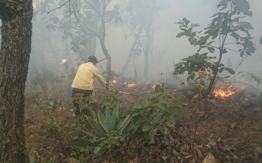 Camioneta ocasiona incendio forestal en Mascota