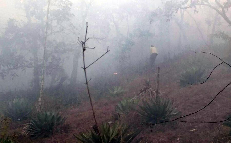 Camioneta ocasiona incendio forestal en Mascota