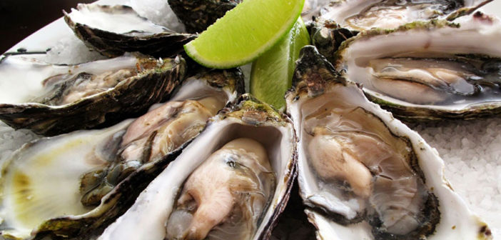 Activa Secretaría de Salud veda de moluscos en Puerto Vallarta