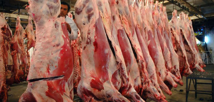 Alistan construcción de nuevo rastro municipal en Puerto Vallarta