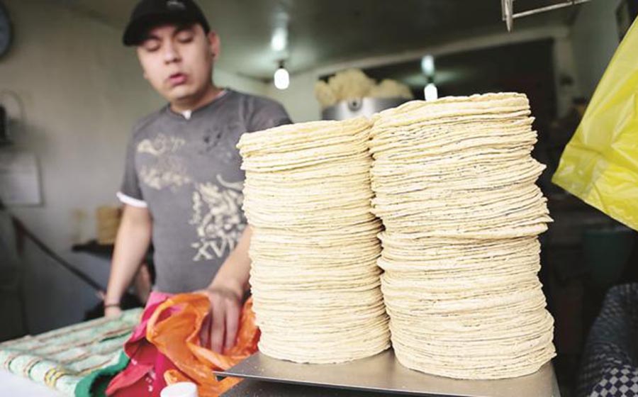 Tortilla subiría hasta los 17 pesos, señala la Unimtac