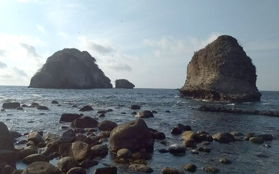 Se cumplen 24 horas de la desaparición de canadiense en las costas de Vallarta