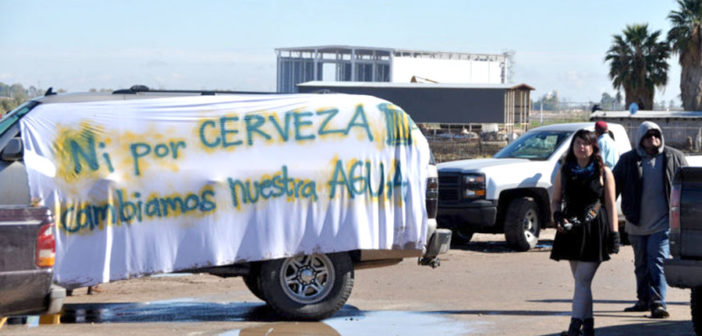 Cervecera está dejando sin agua al Valle de Mexicali