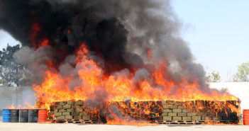 Incineran más de 9 toneladas de narcóticos en Jalisco