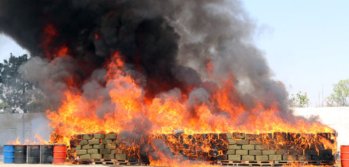 Incineran más de 9 toneladas de narcóticos en Jalisco