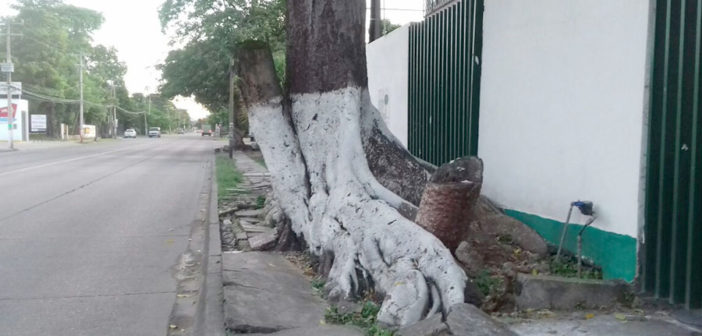 Sin presión, municipio no atiende denuncias ciudadanas