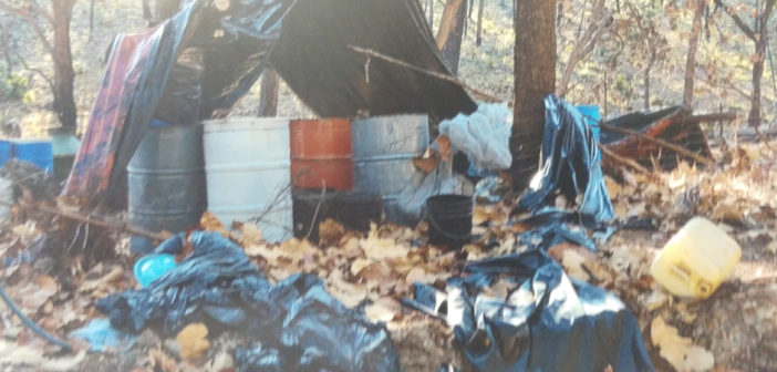 Desmantelan probable narcolaboratorio en Tequila