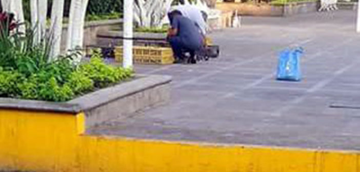 Acusan 'traslado' de pichones de la plaza de armas