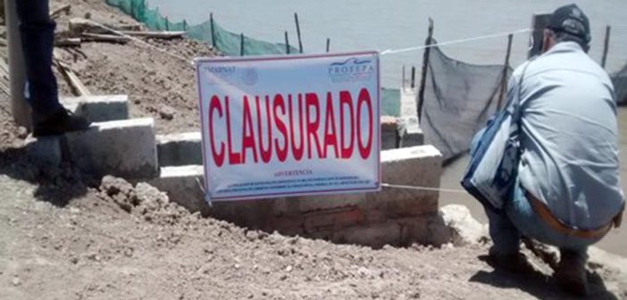 Granja acuícola daña 37 hectáreas de manglar en Nayarit