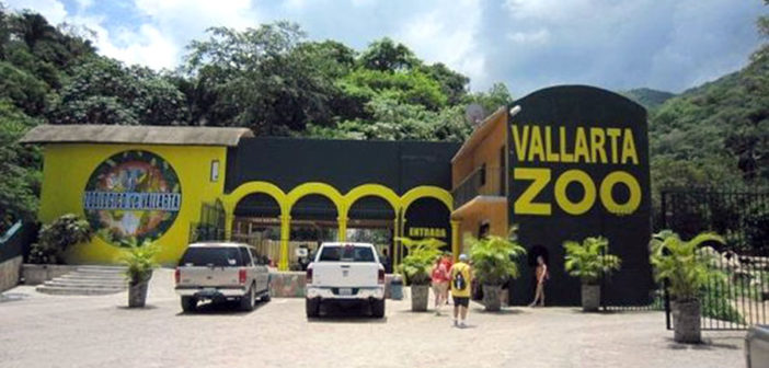 Por maltrato, asegura Profepa 54 animales del zoológico de Puerto Vallarta