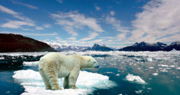 Prevén que la Tierra se calentará cuatro grados centígrados más a fines de este siglo