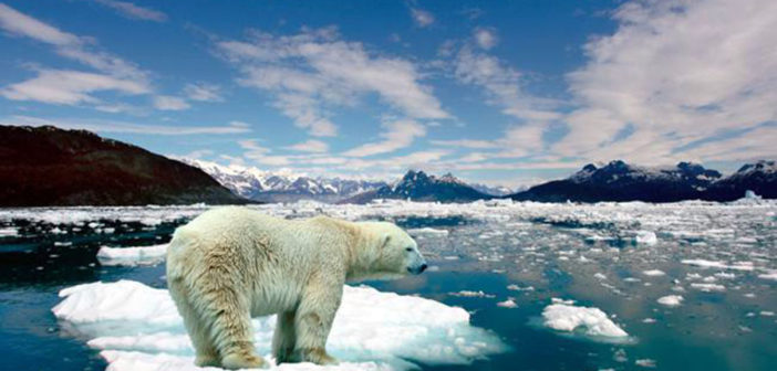 Prevén que la Tierra se calentará cuatro grados centígrados más a fines de este siglo