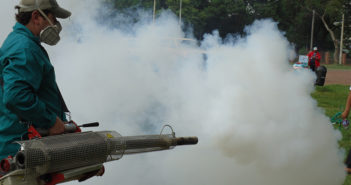 Se prevé aumento de casos relacionados con el Dengue en Jalisco