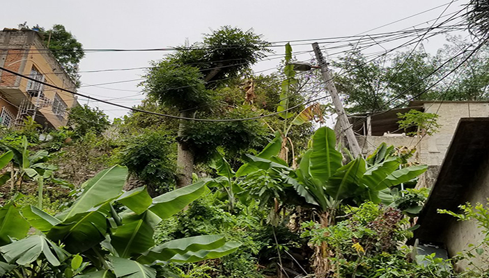 CFE ignora a vecinos por poste a punto de caer