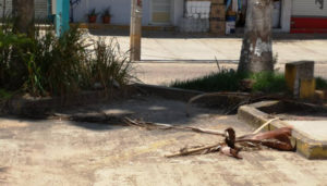 Gutiérrez Rizo, de exitoso supermercado a cuna de adicciones