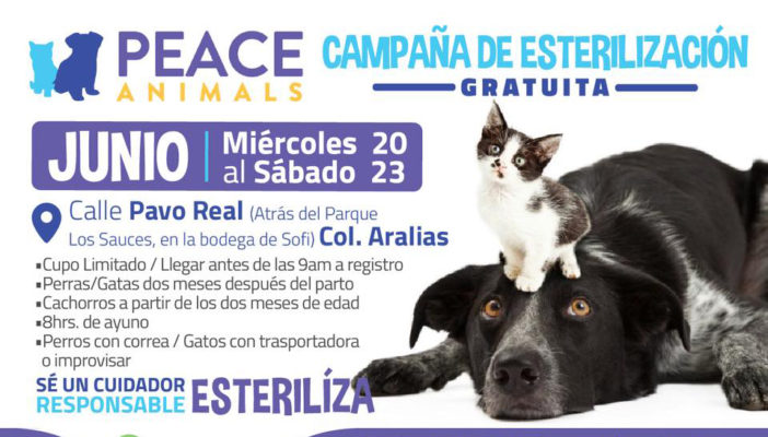 Invita Peace Animals a esterilizaciones en Aralias