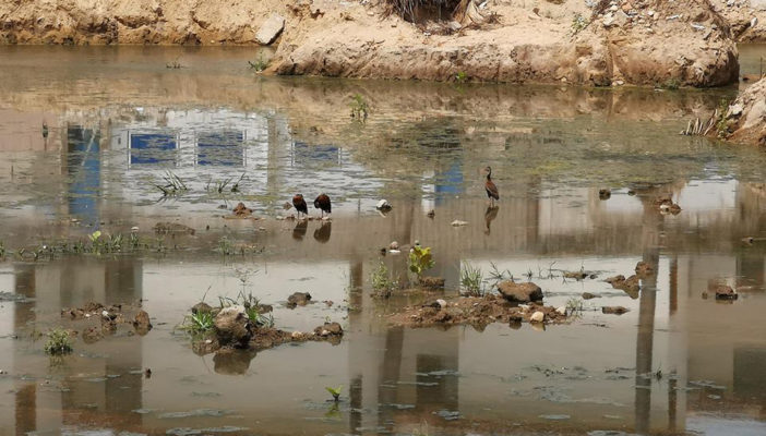 Terreno inundado del 'Club del Sol', sitio propicio de criadero de moscos