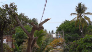 Responde la autoridad a llamado de Vallarta Independiente