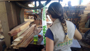 Clausura Profepa aserradero; asegura 179 m2 de madera