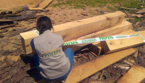 Clausura Profepa aserradero; asegura 179 m2 de madera