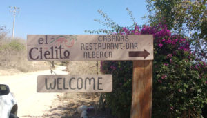 Clausura Profepa desarrollo turístico por amenazar a especies protegidas