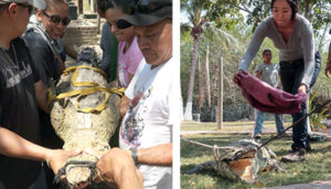 Capacitan a elementos de la Patrulla Verde acerca de fauna de la región