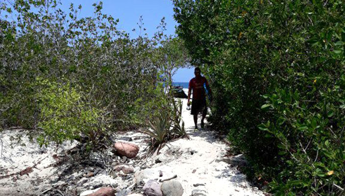 Causa enfado clausura de entrada a playa ‘La Lancha’ en Punta de Mita 2 Causa enfado clausura de entrada a playa ‘La Lancha’ en Punta de Mita